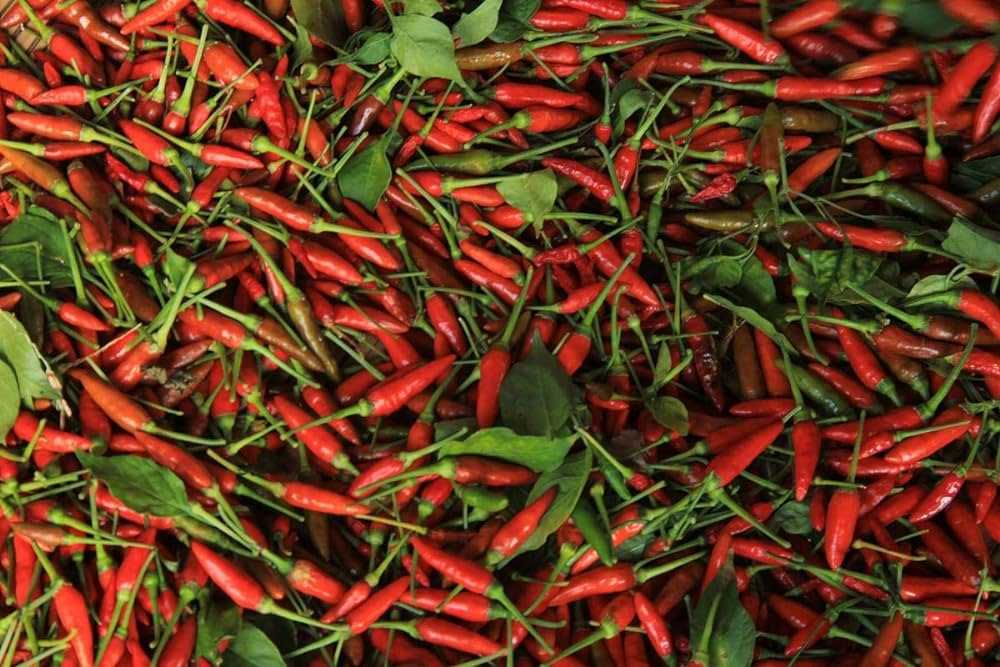 Chillies